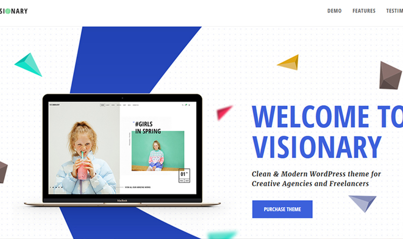  Visionary - Creative Agency Multipurpose WordPress Theme 