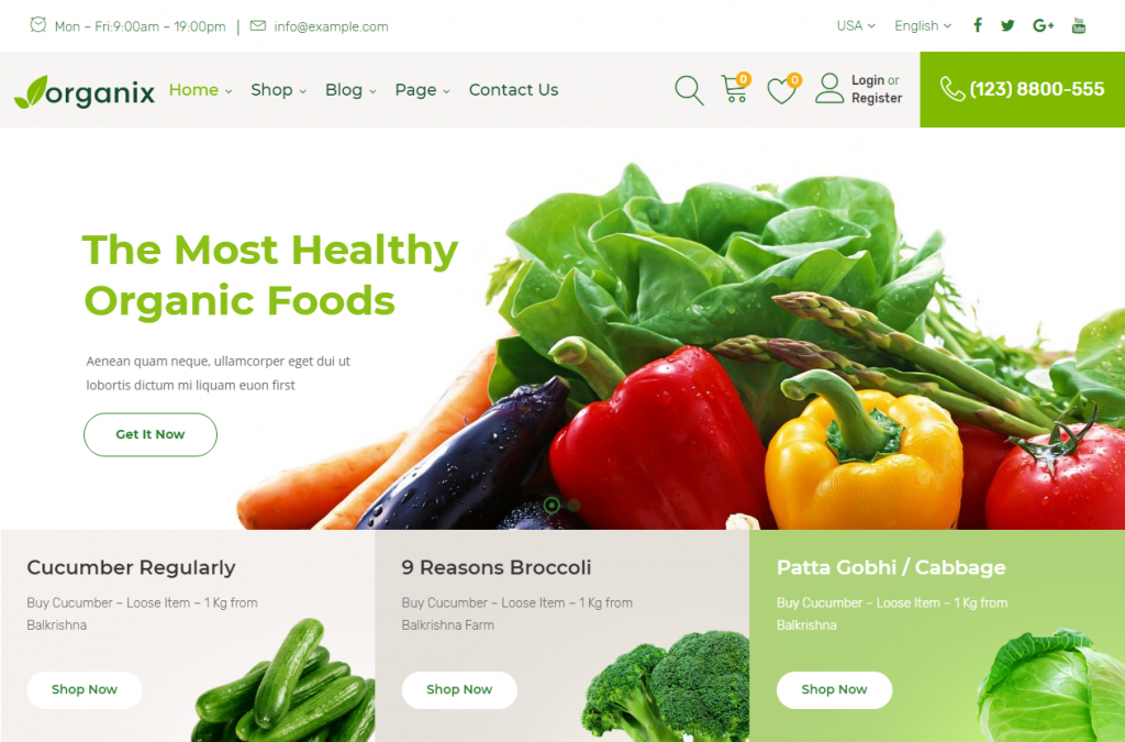 25 Amazing WordPress eCommerce themes for your next online grocery store